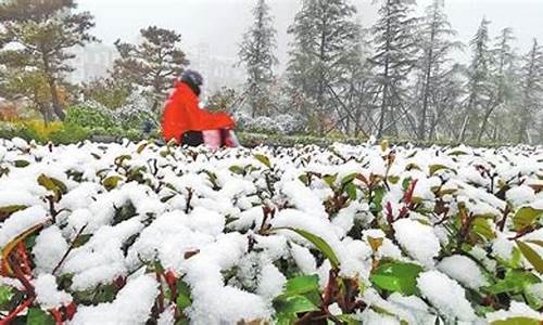 河南将迎大范围雨雪_河南将迎大范围雨雪天气预报