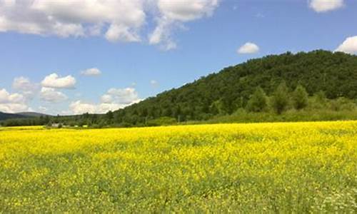 阿荣旗天气预报一周_阿荣旗天气预报一周7天查询