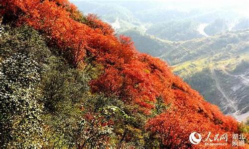 郧县天气预报_郧县天气预报7天查询